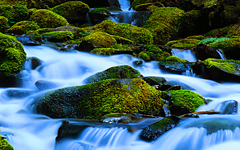 Экадаши – лечебно-профилактическое односуточное голодание