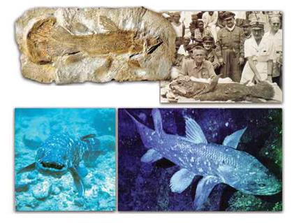 Эволюционисты и теория эволюции