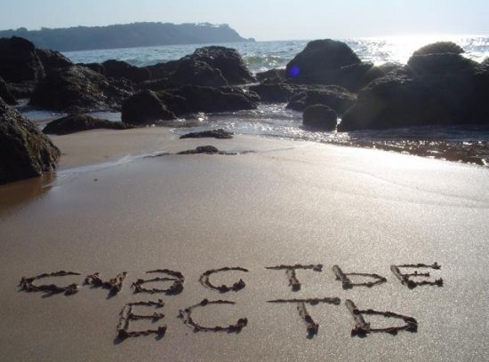 Виды счастья Виды счастья