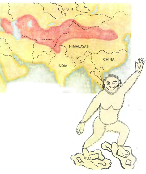 а была ли эволюция