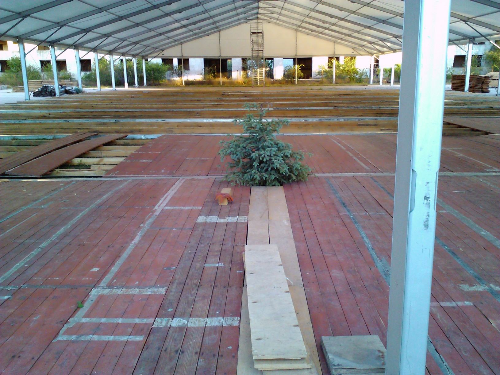 Бхакти-Сангама — фото пандала в этом году