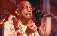 Способ обезьяны или кошки?