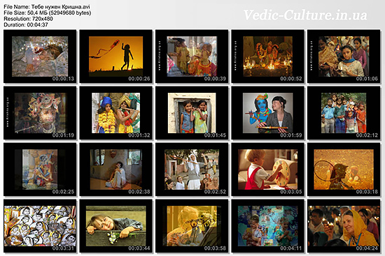 Тебе нужен Кришна