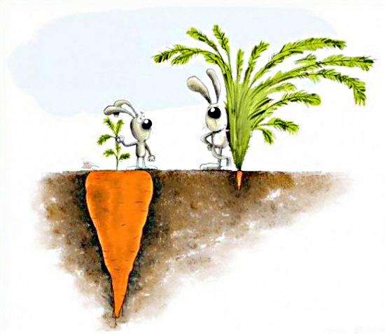 Ошибки восприятия