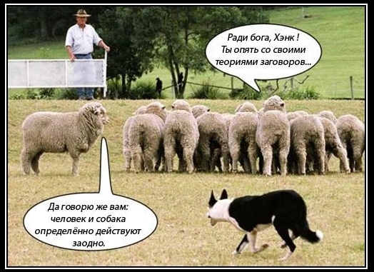 Слепое следование