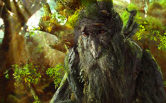 История о Божественной красоте История о Божественной красоте