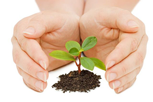 Император и наследник