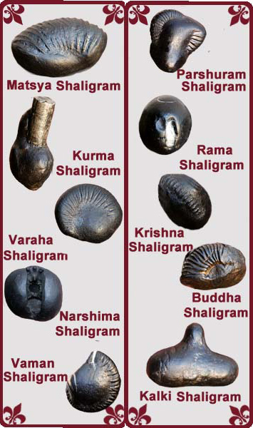 Виды Шалаграма-шил 