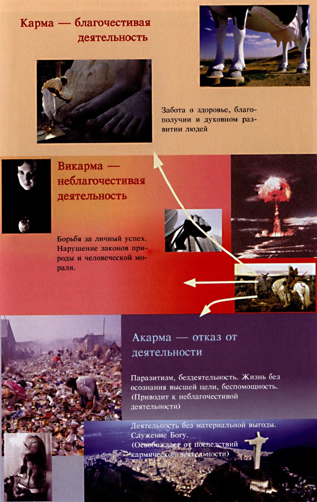 Как сделать правильный выбор?