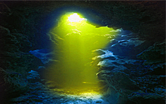 Источник сознания в философии Бхагавад-Гиты Источник сознания в философии Бхагавад-Гиты