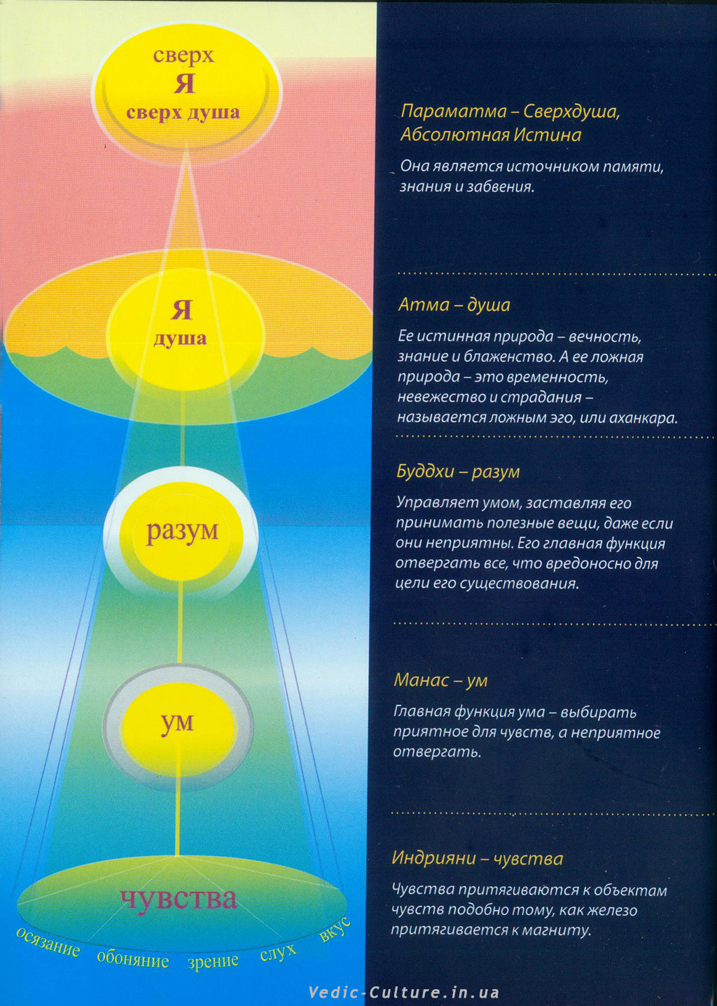 Уровни сознания - Хакимов