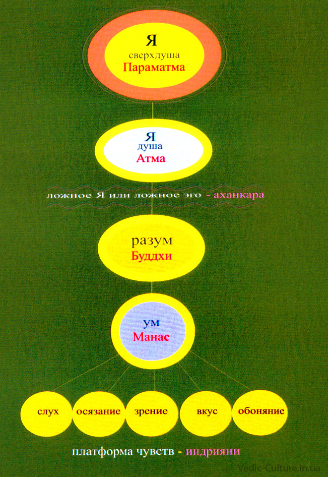 Уровни сознания — базовые термины