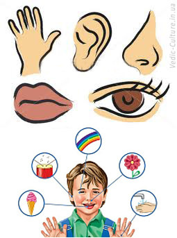 Чувства и душа