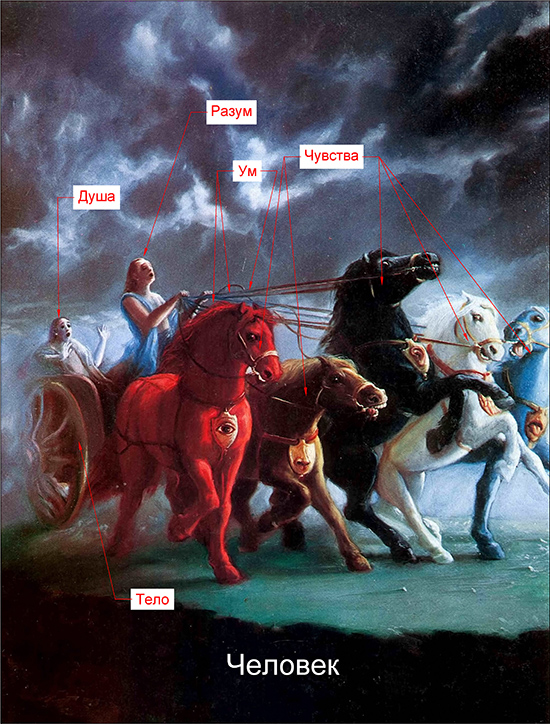 Взаимодействие тела, чувств, ума и разума Взаимодействие тела, чувств, ума и разума