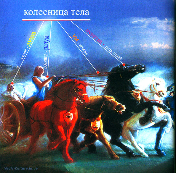 Уровни сознания и тело человека