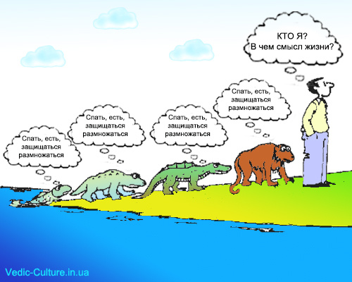 В чем смысл жизни человека?