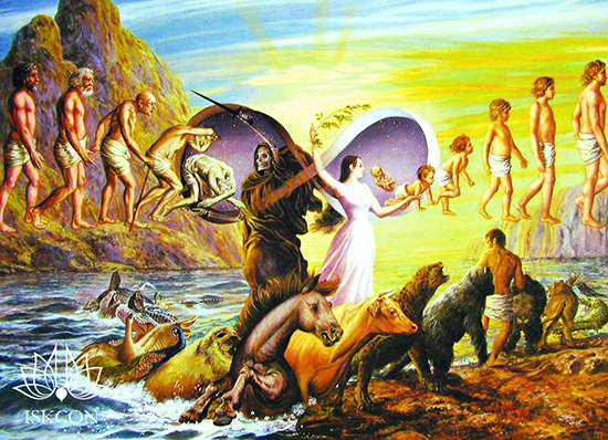 Суть человеческой жизни