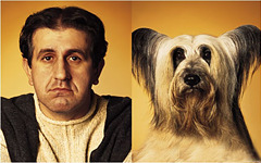 Чем отличается человек от животного