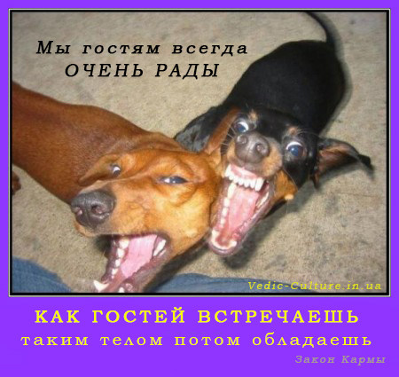 Этикет приёма гостей