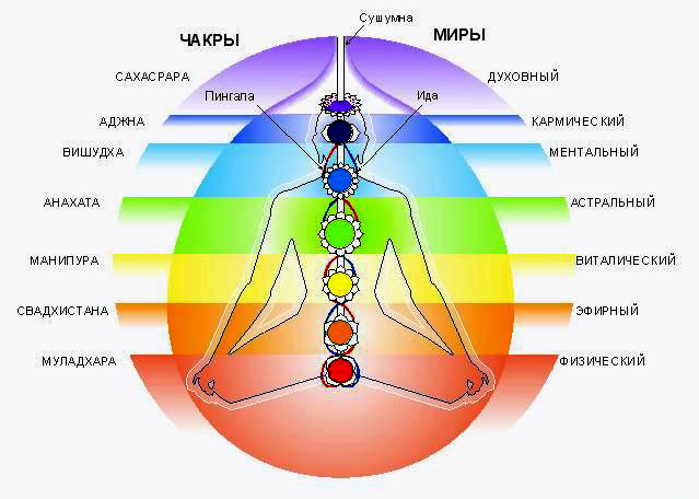 Варнашрама и строение тела