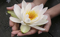 Рекомендации аюрведы о счастливой жизни