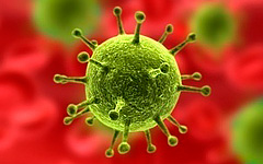 Яды и токсины в организме Яды и токсины в организме