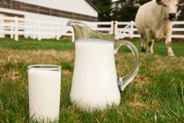 Продукты в благости