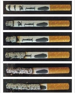 Подмена понятий Подмена понятий