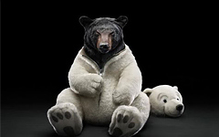 Лицемерие &mdash; величайшее препятствие на пути к совершенству