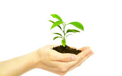 Уровни развития компетентности