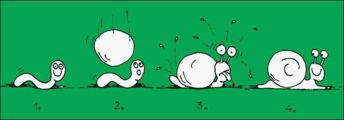 Крах теории эволюции