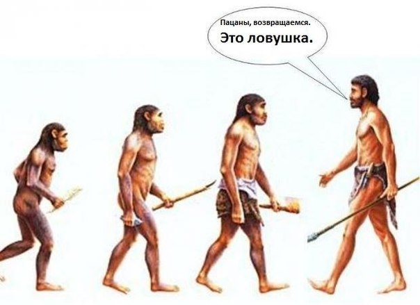 Возникновение человека — случайность?