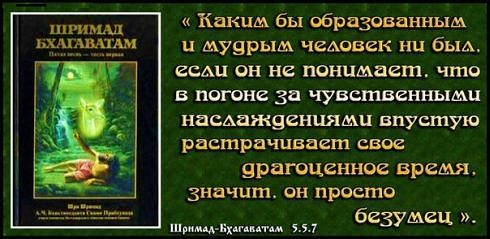 Сознание Кришны — движение Любви