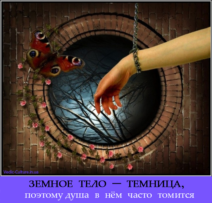 Душа и тело Душа и тело