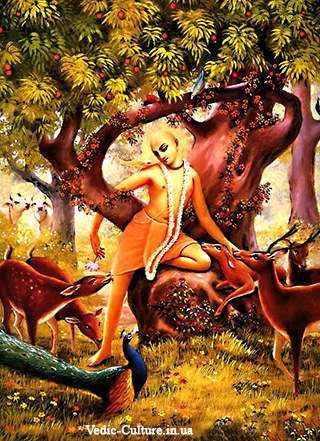 Шри Гауранга — Золотая Аватара Всевышнего Господа