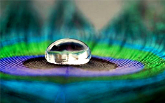 Слава месяца картика