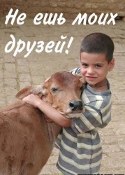 Цитаты знаменитых вегетарианцев Цитаты знаменитых вегетарианцев