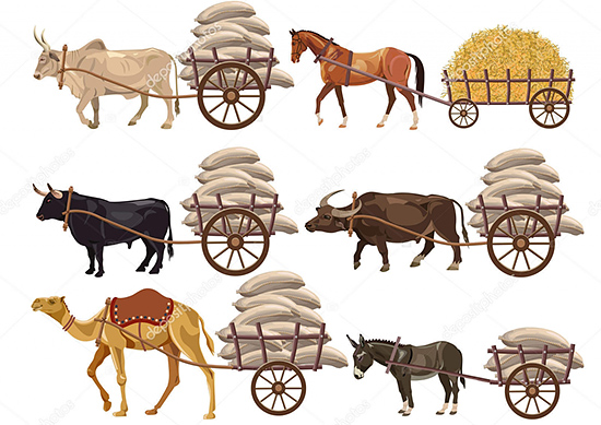 Цитаты знаменитых вегетарианцев - вьючные животные Цитаты знаменитых вегетарианцев - вьючные животные