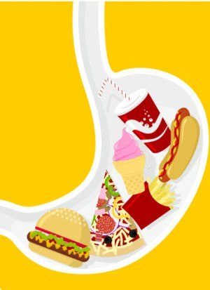 Дневник желудка Дневник желудка