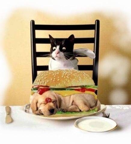 Почему вегетарианство