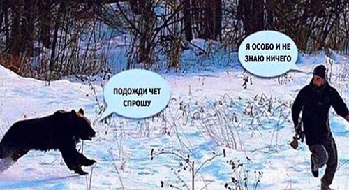 Почему вегетарианство...