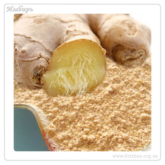 Имбирь свежий Имбирь свежий
