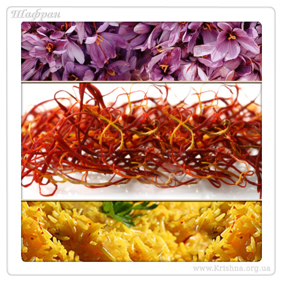 Шафран Шафран