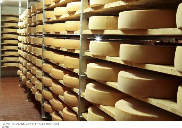 Приготовление твердого сыра: этап созревания