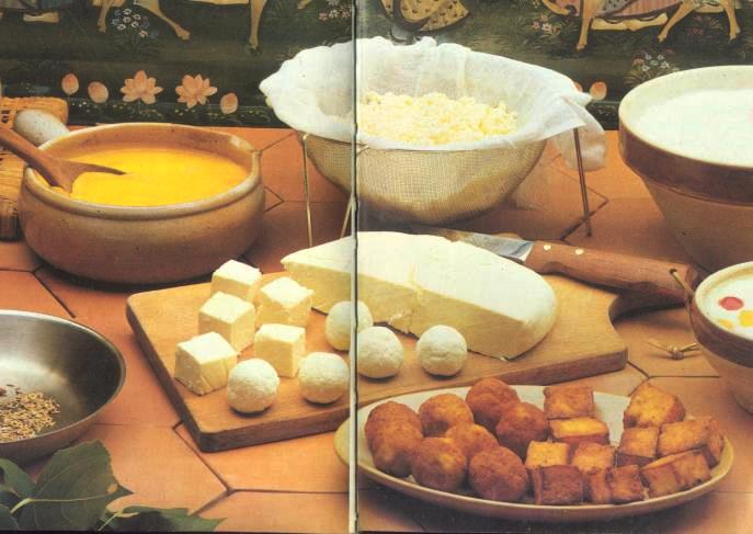 ������ ��������� ����, �������, ������