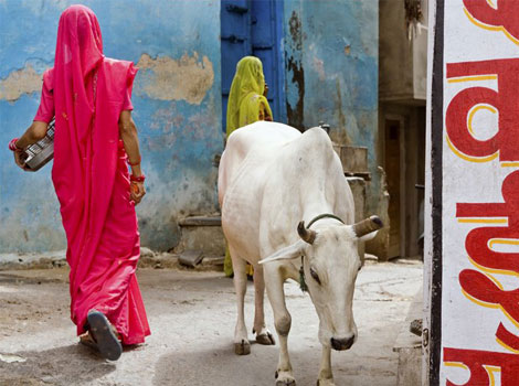 ������� ������