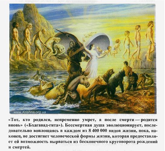 Сансара (самсара) - вечный цикл перерождений в материальном мире Сансара (самсара) - вечный цикл перерождений в материальном мире