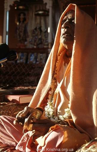 Шрила Прабхупада - Киртан в ритме копыт бегущих коров